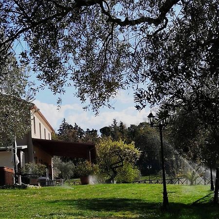 Agriturismo La Contea Senigallia Villa San Gaudenzio Bagian luar foto