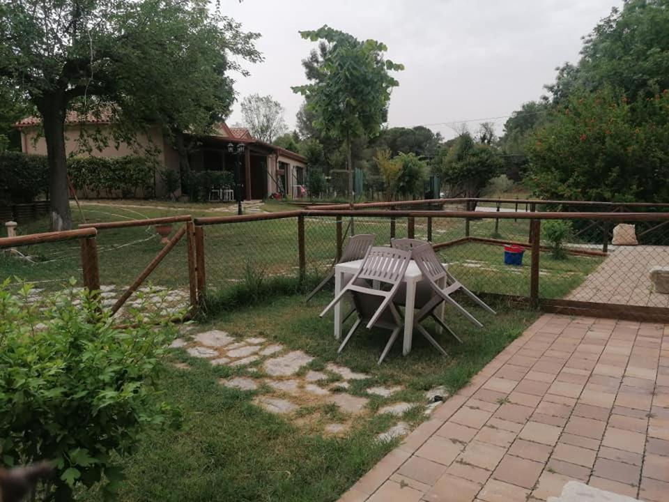 Agriturismo La Contea Senigallia Villa San Gaudenzio Bagian luar foto