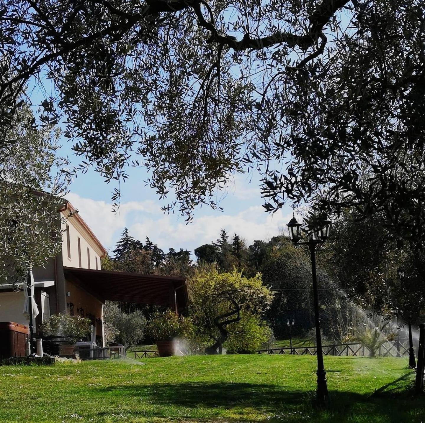 Agriturismo La Contea Senigallia Villa San Gaudenzio Bagian luar foto